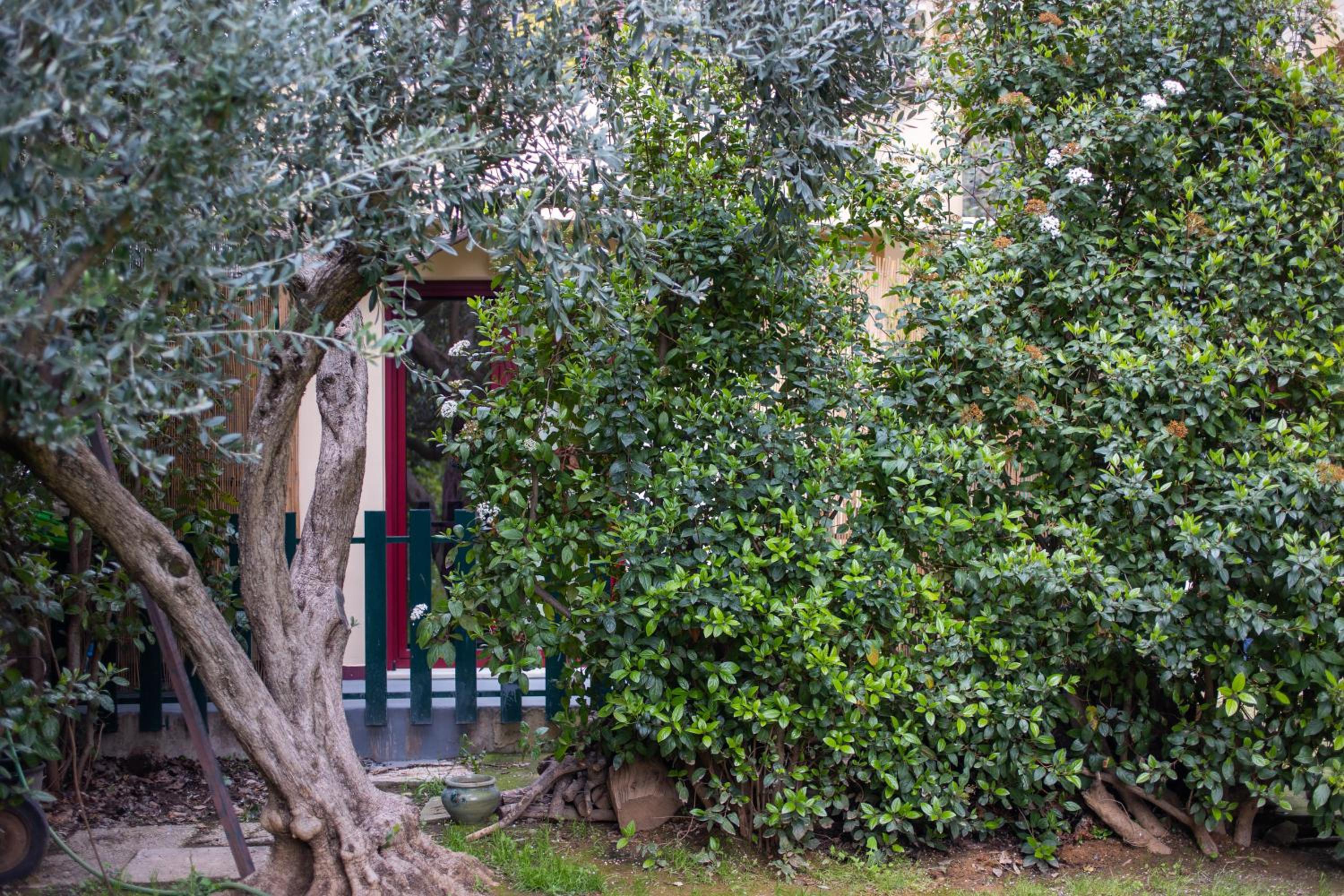 Kifissia Studio