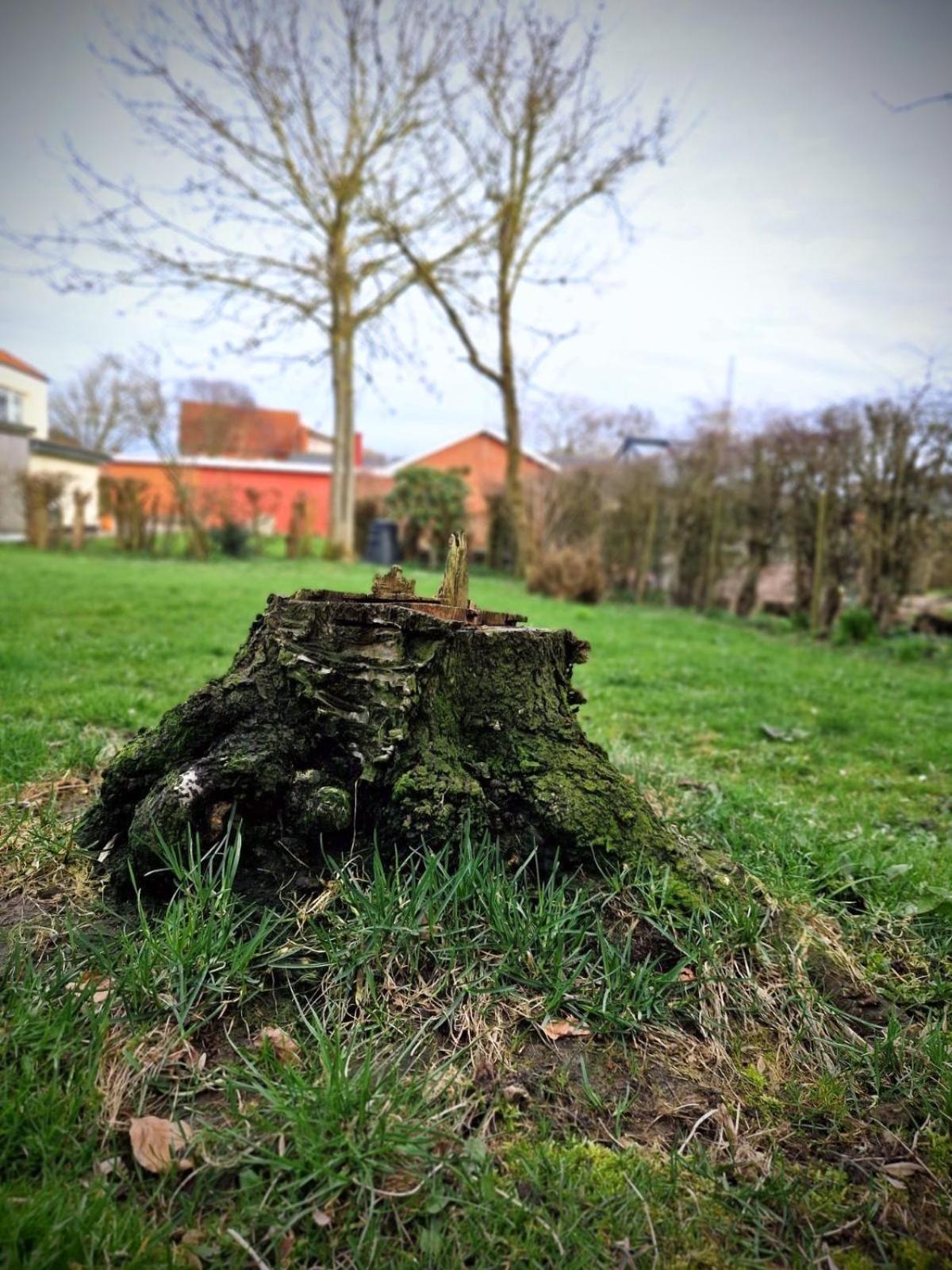Haus Fabjerg
