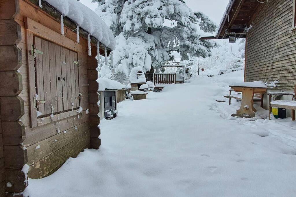 Charming 1-room apartment with Alpine feeling