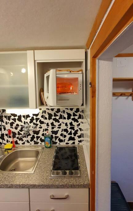 Charming 1-room apartment with Alpine feeling