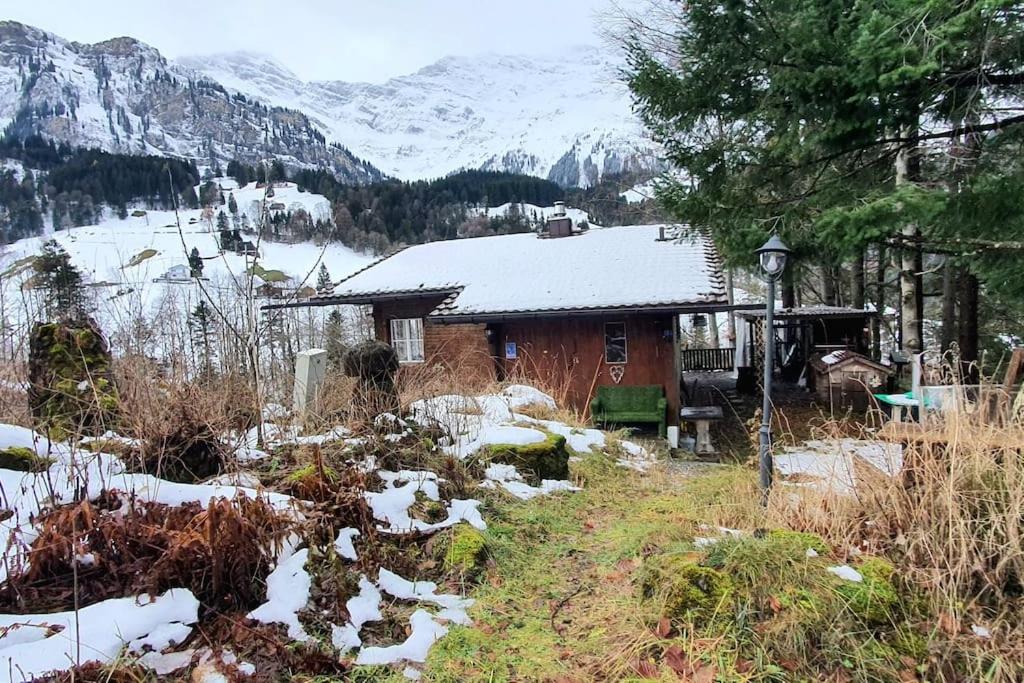Charming 1-room apartment with Alpine feeling