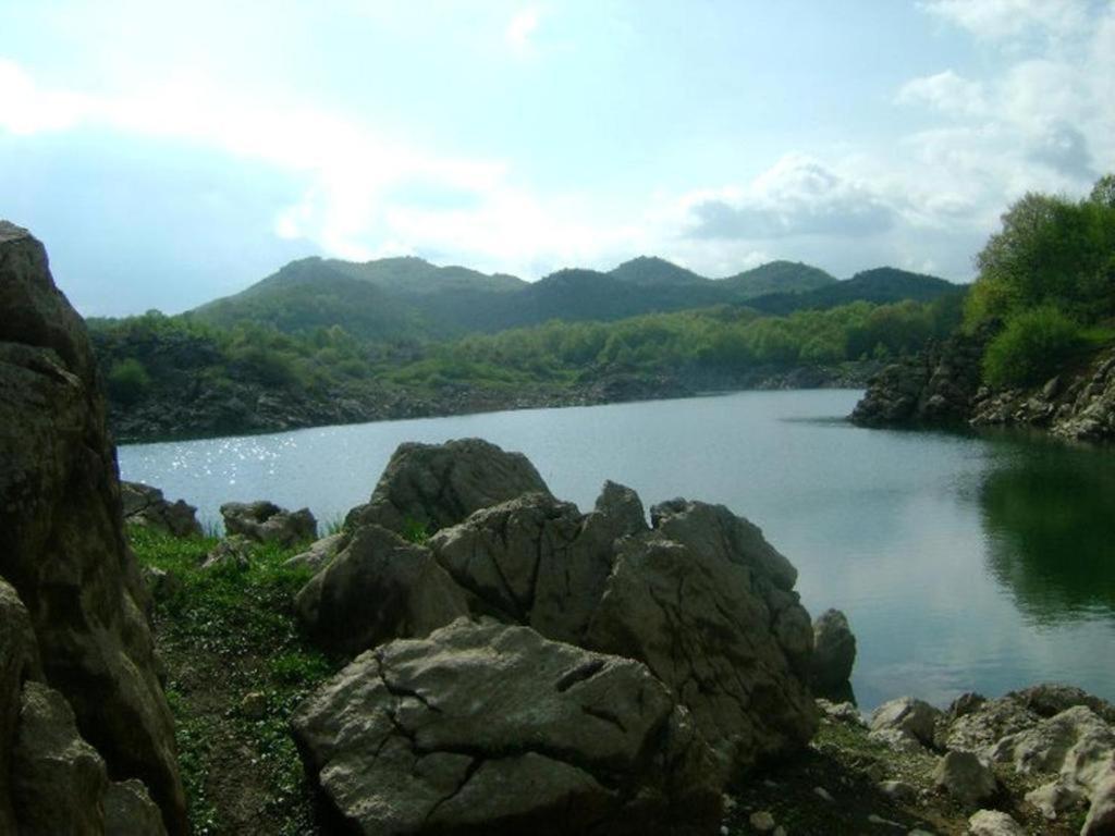 Apartmani Albatros