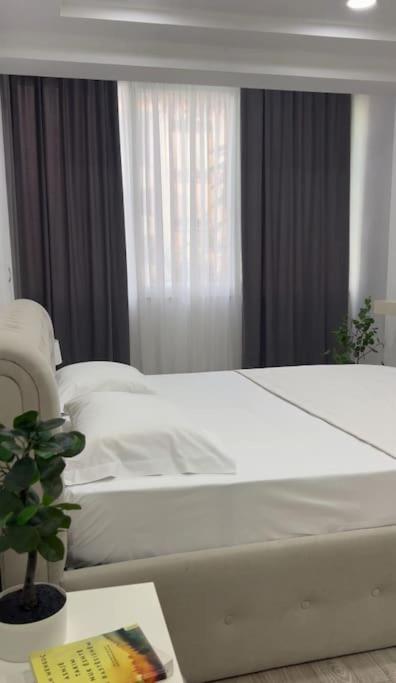 RizZ Apartment