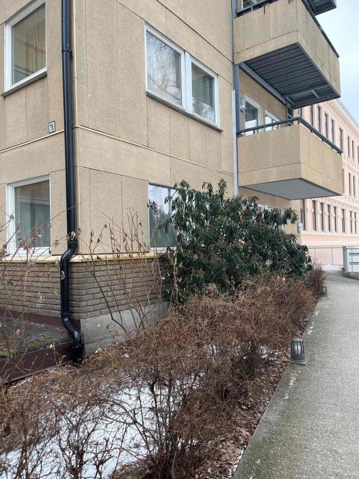 Photo 14