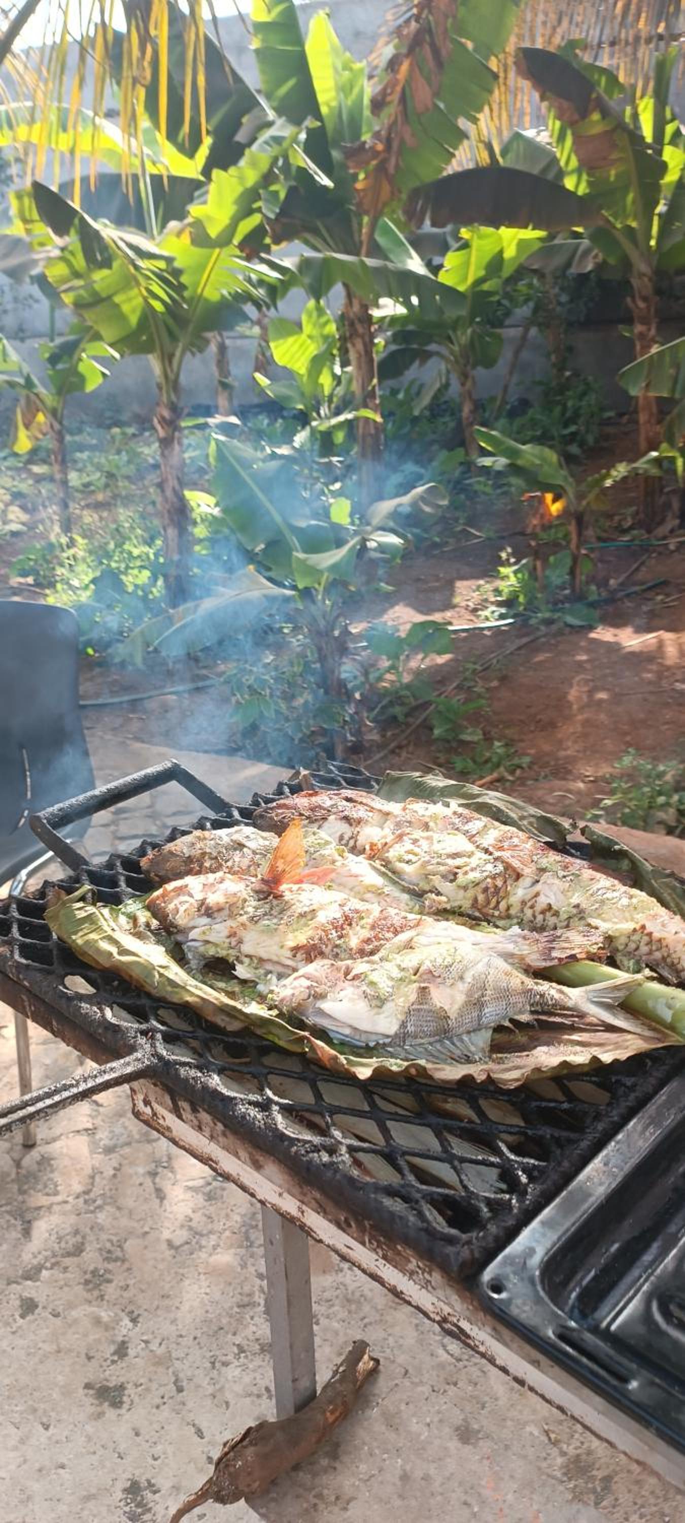 Residência Águia