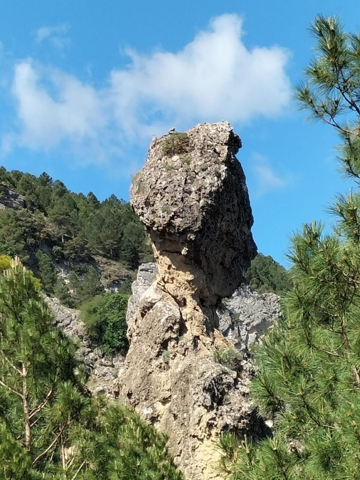 Casas Rurales Cerro Lobo