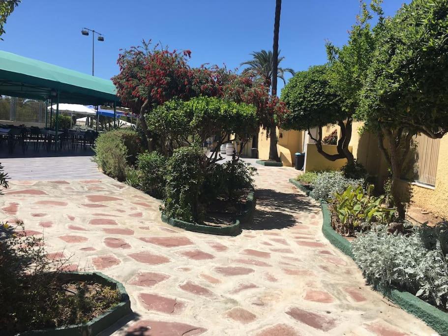 Precioso apartamento en primera línea de playa