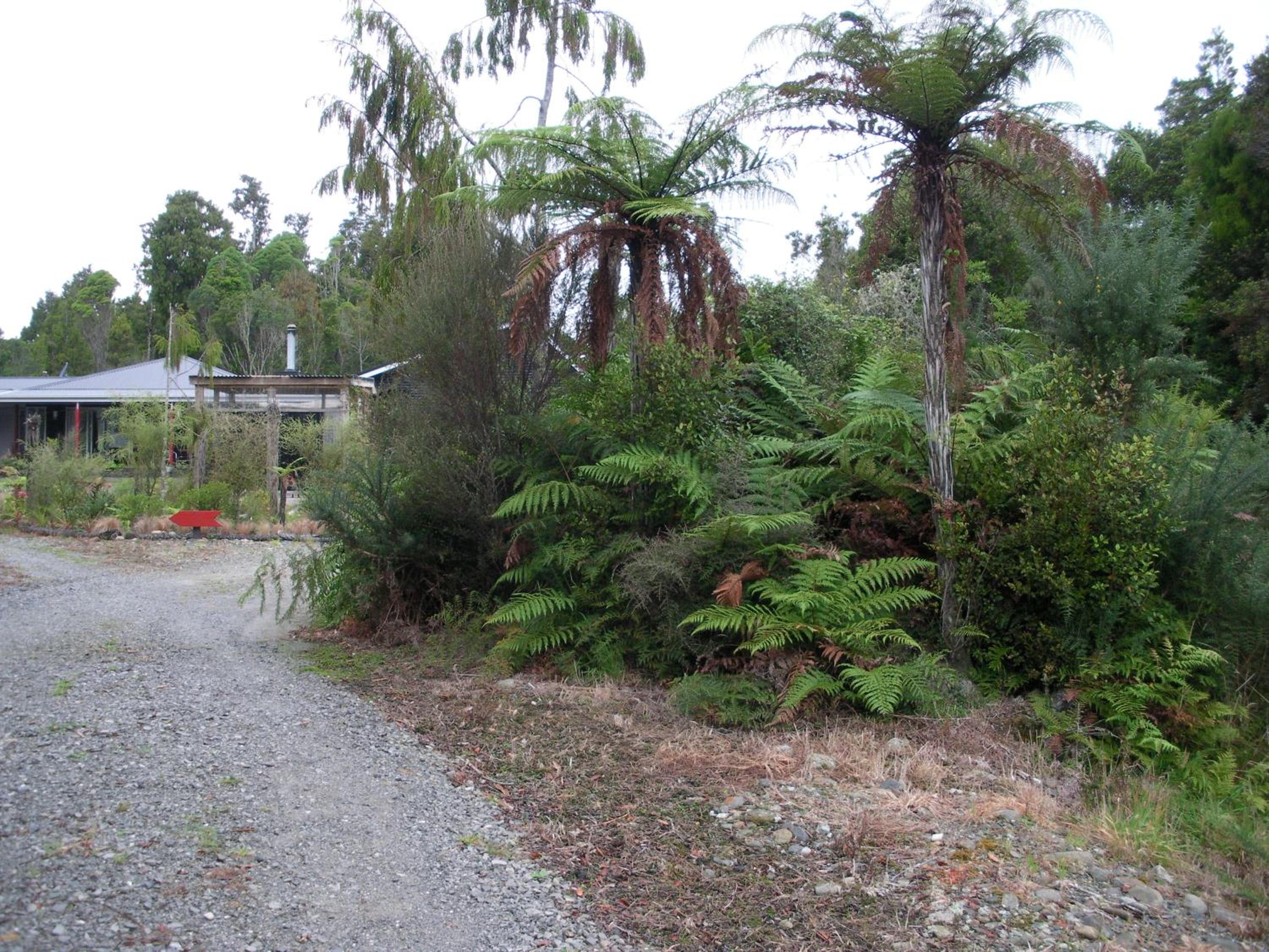 Photo 7