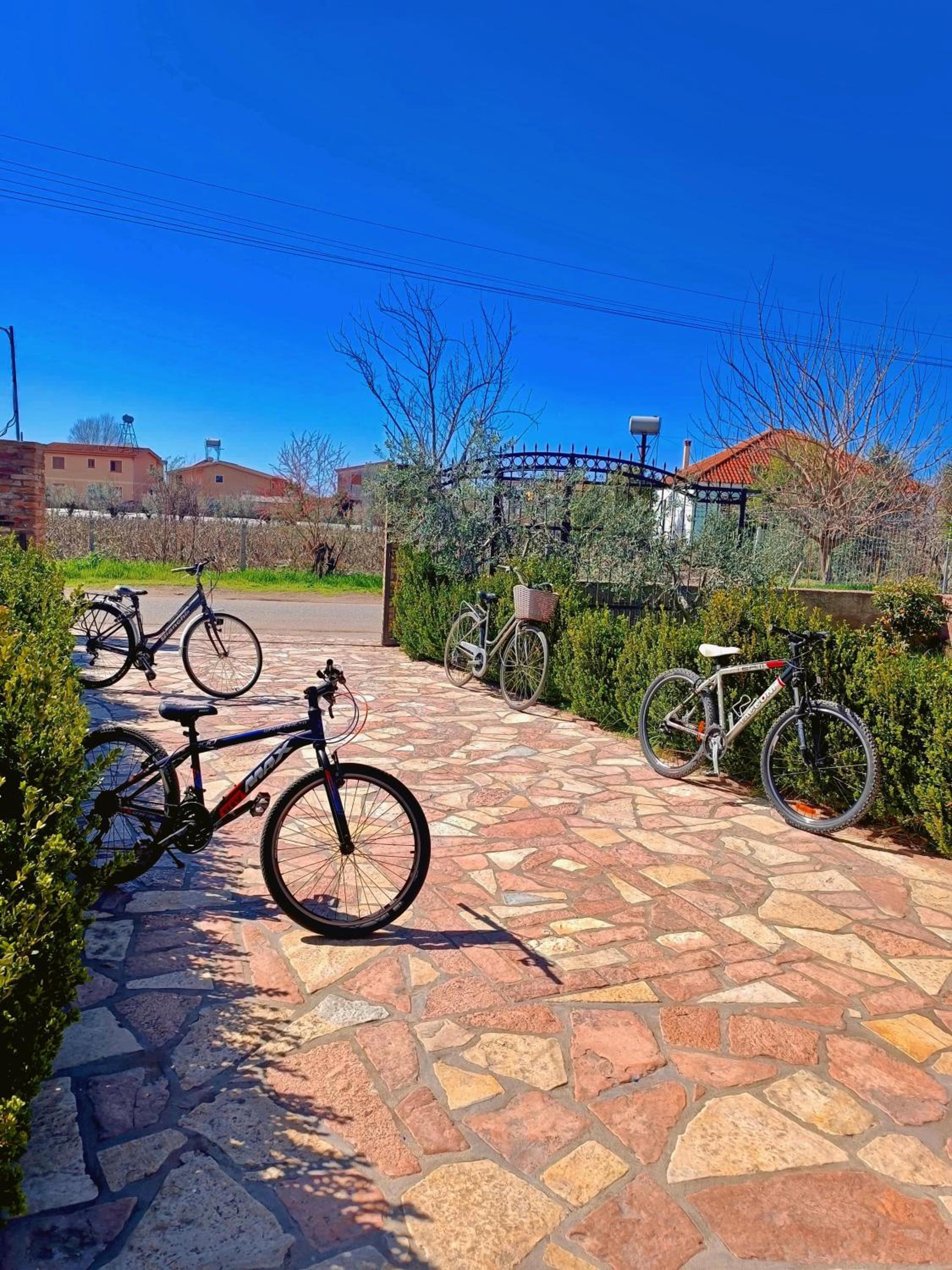 The Garden Guest House