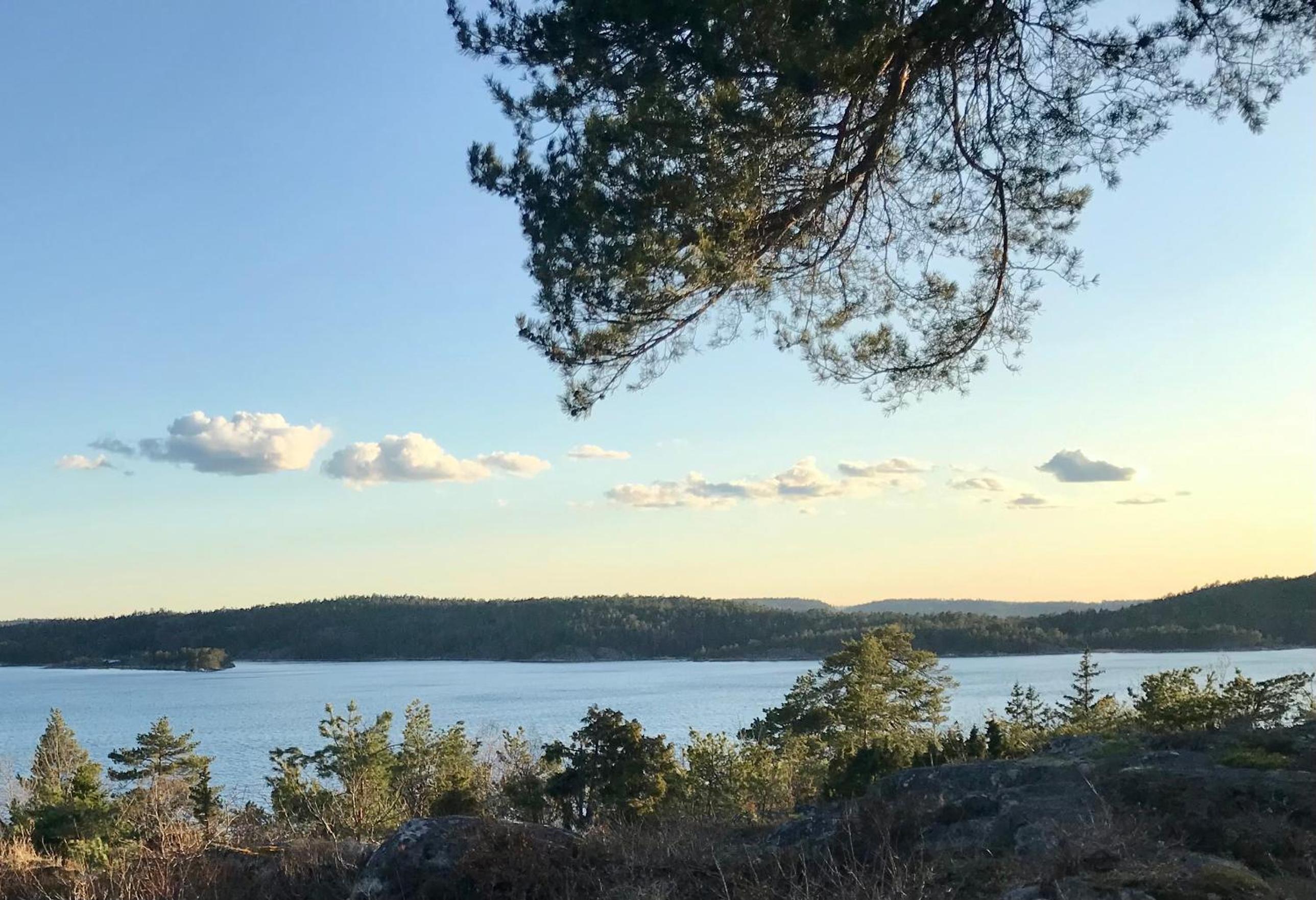 Stockholm Archipelago House with shared pool view 4