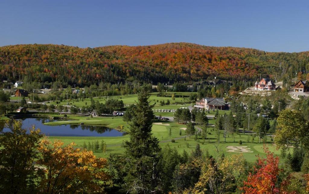 Le Chamonix/Mountain view/Golf course/Activities!