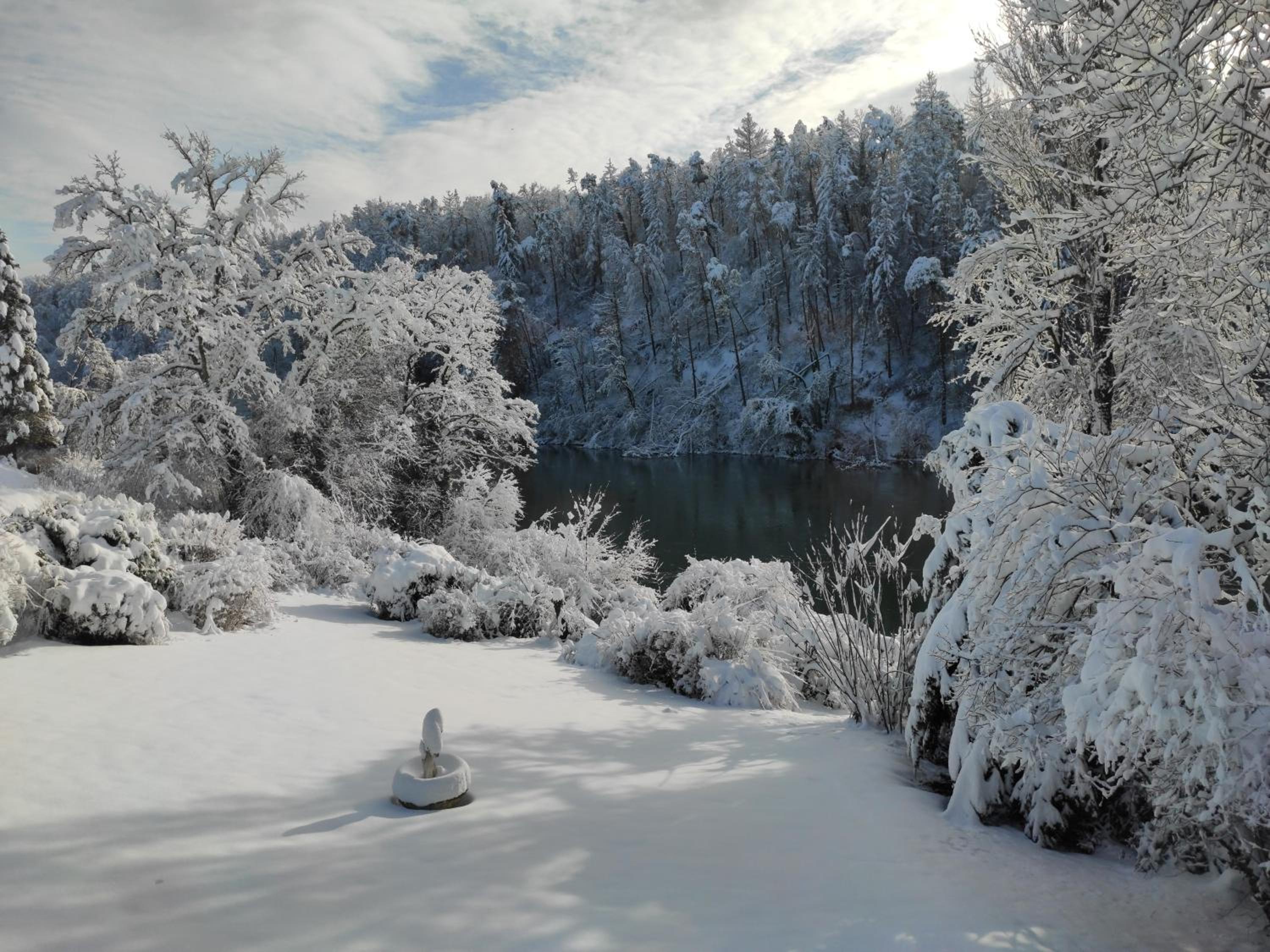 Villa Rheinblick - Riverside Gem near Zurich