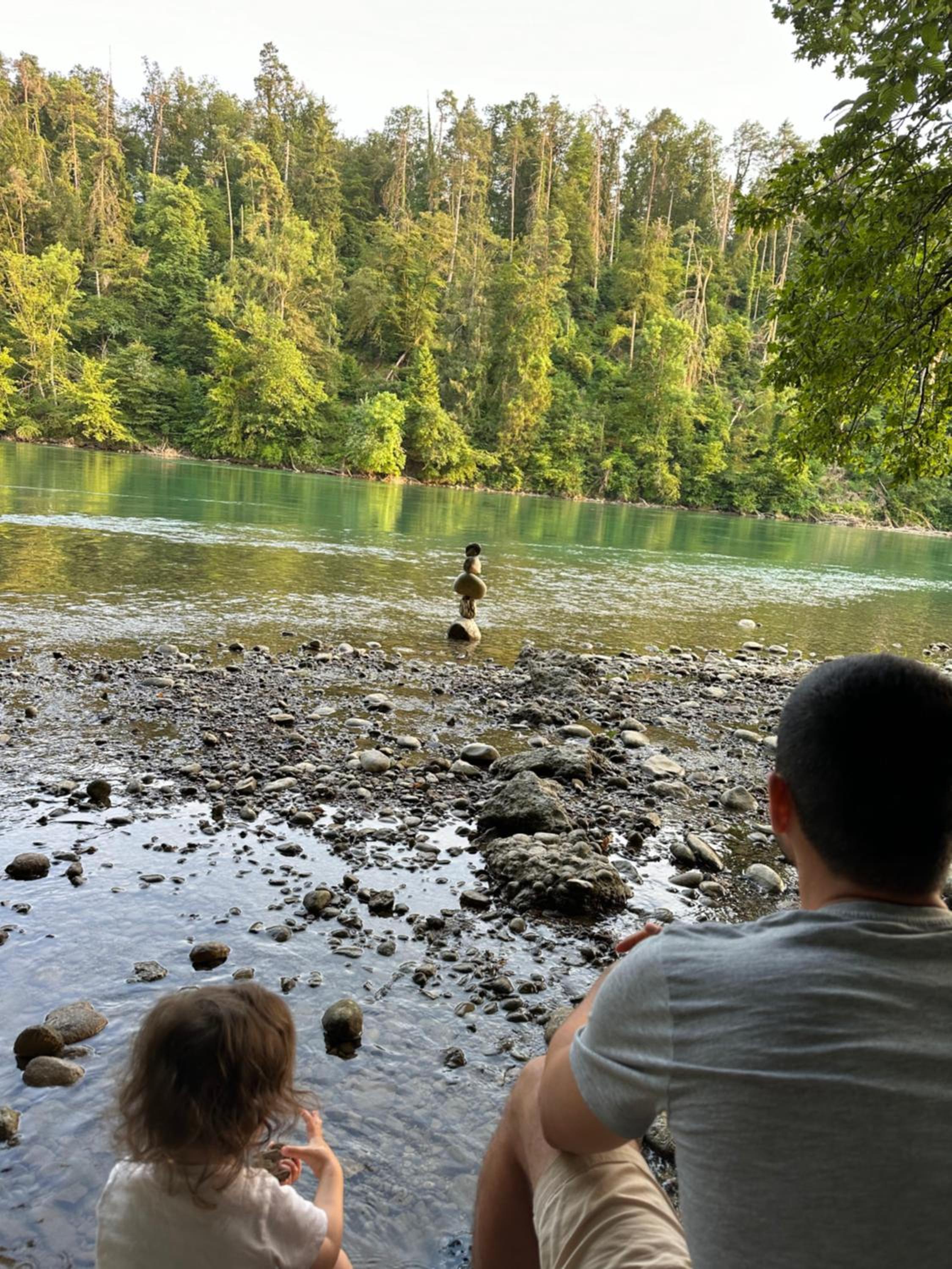 Villa Rheinblick - Riverside Gem near Zurich