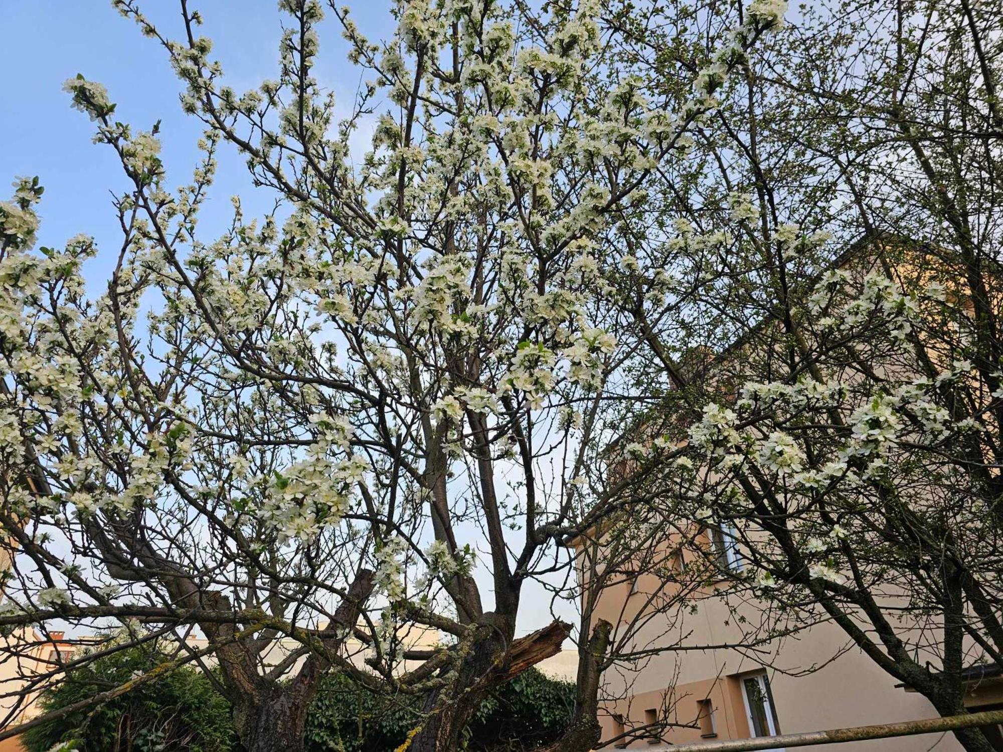 Dům se dvěma byty, zahrada, Wi-Fi a parkování zdarma, klidná část Hradce Králové