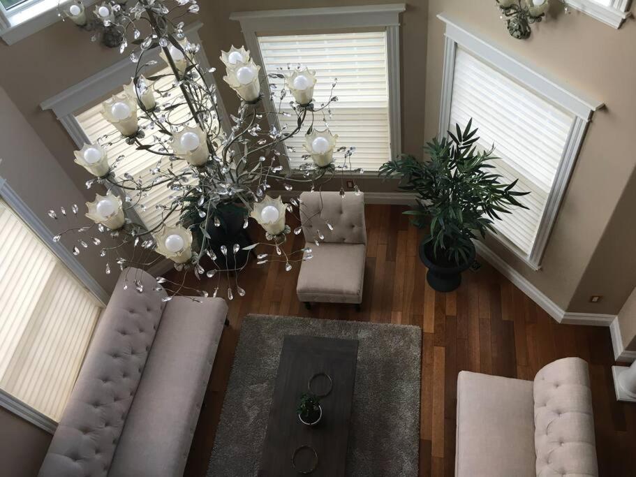 Marvelous Home