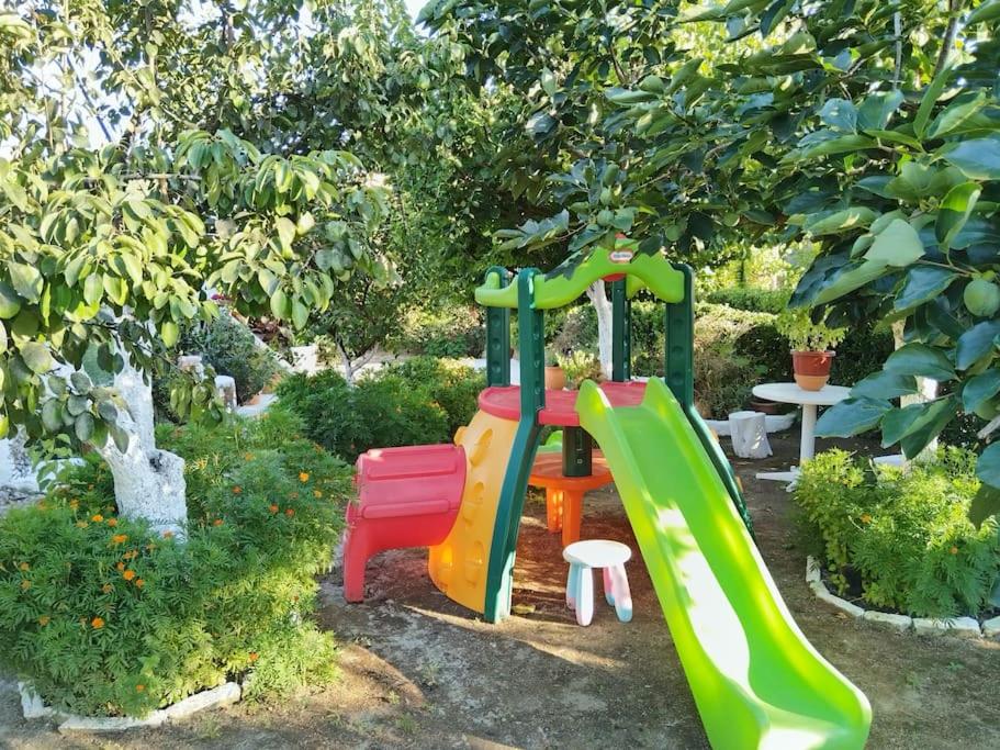 Photo 40
