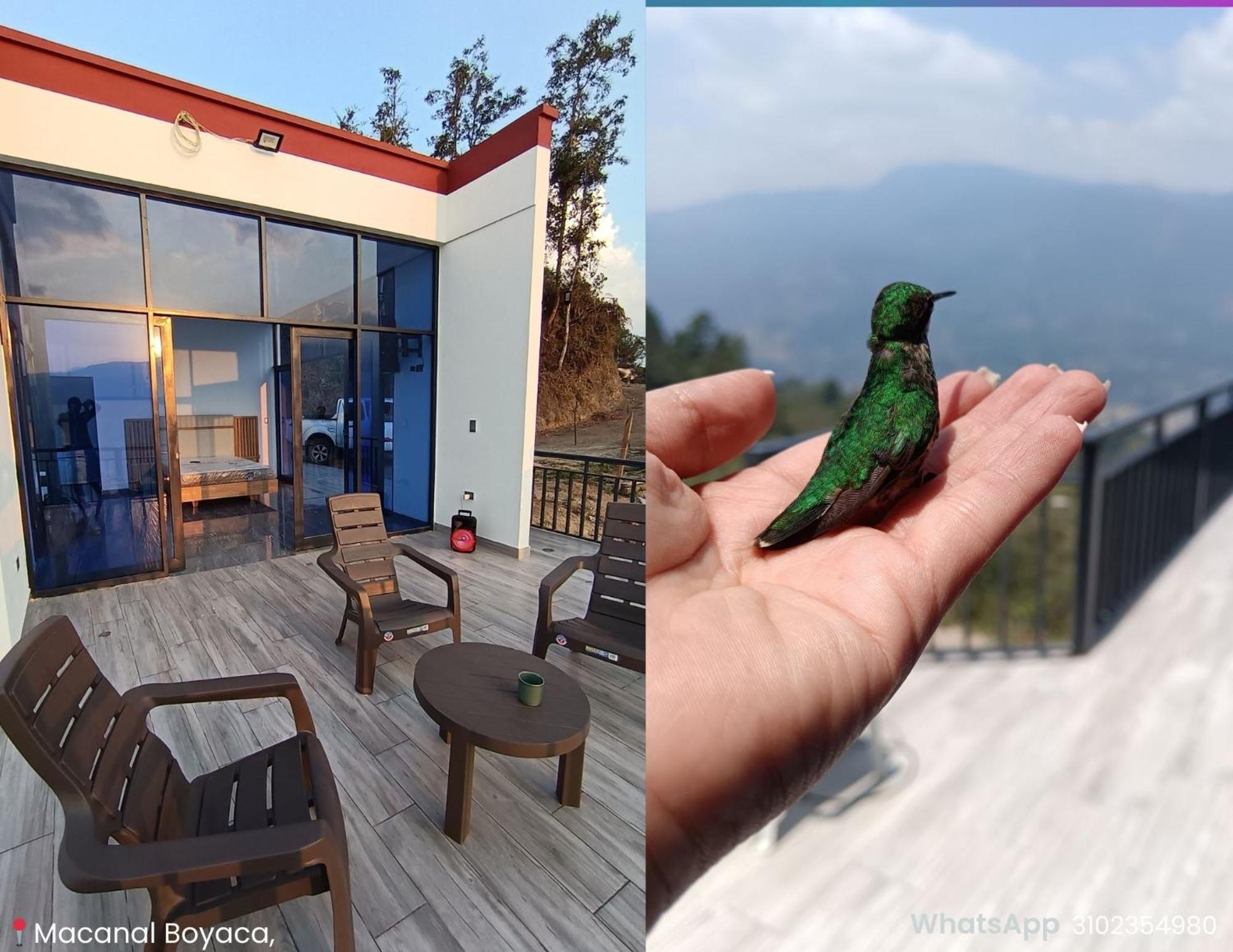 En la cima de los sueños