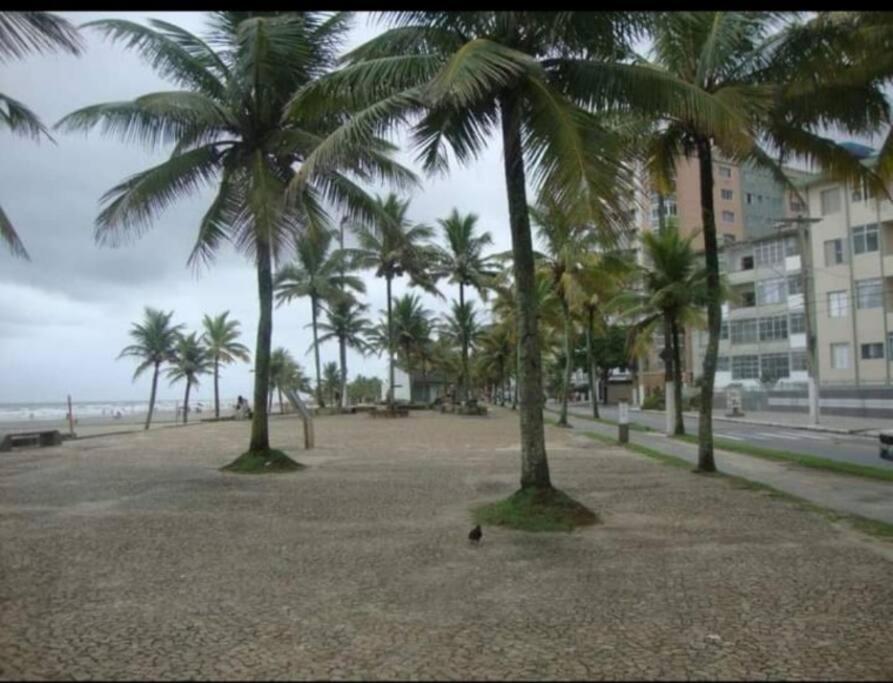 Ap na beira/orla da praia, vista linda sem garagem