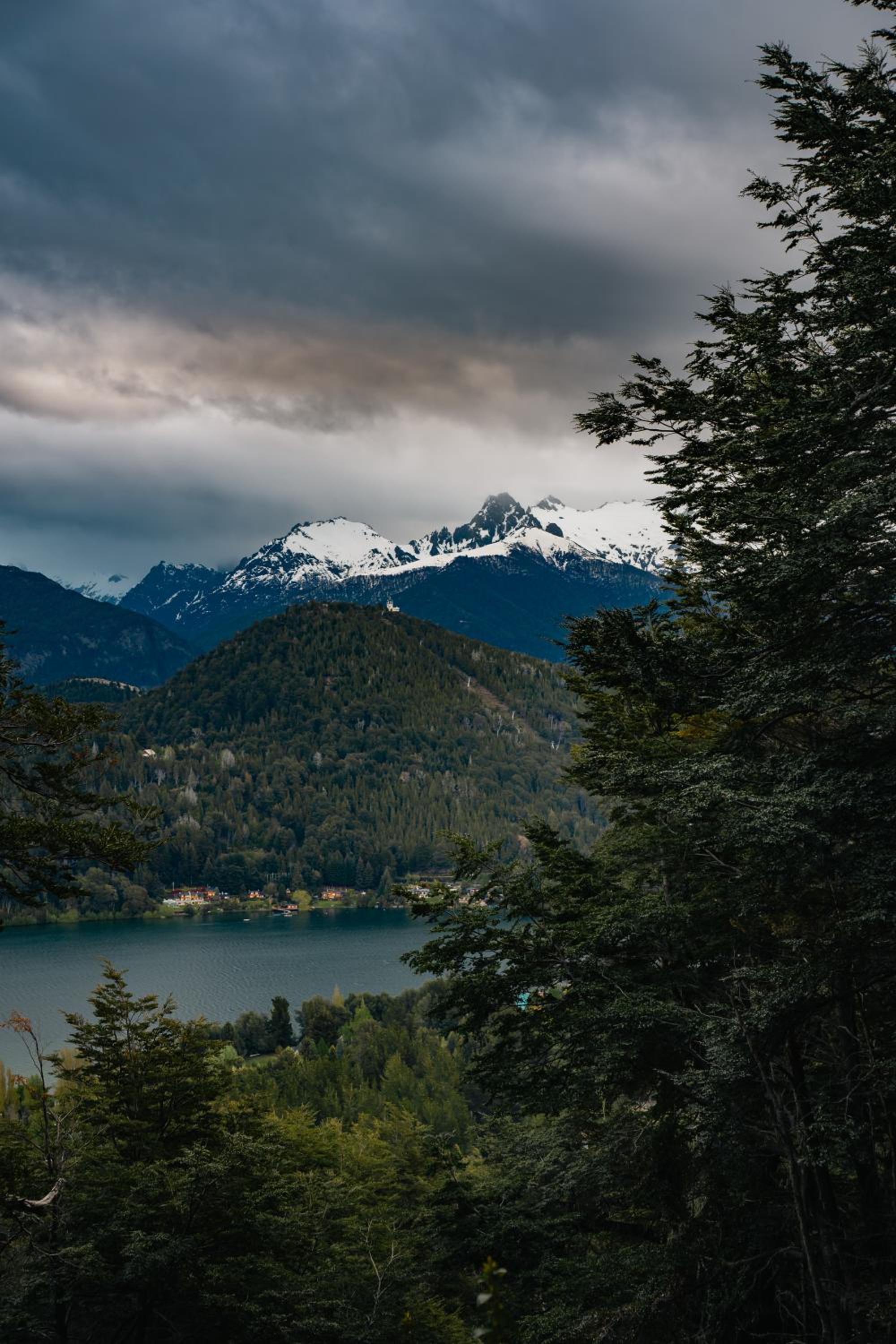 El Bosque