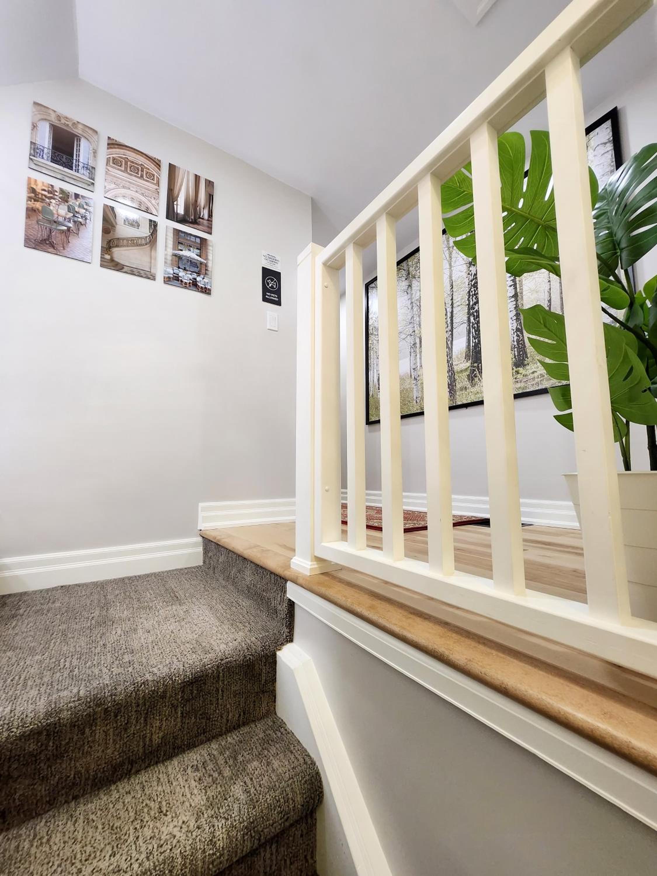 The Serene Haven Modern 2 Queen Bed Full Apartment