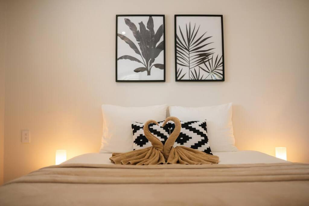 VILLA Arte - just minutes from Mambo & Pietermaai
