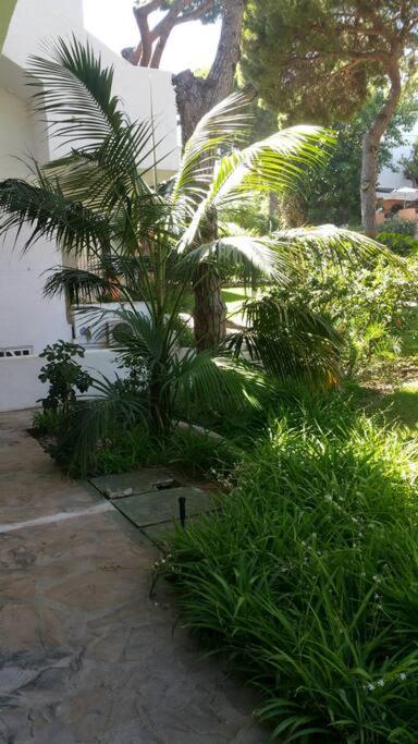 Casa del Mar on Calahonda Beach FRONTLINE