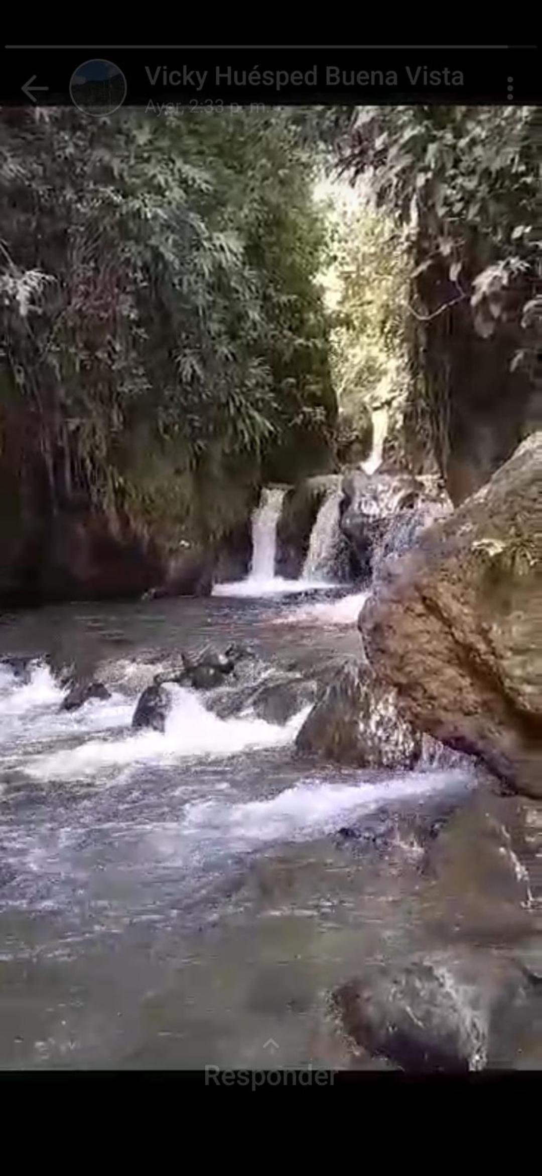 Cabaña buena vista