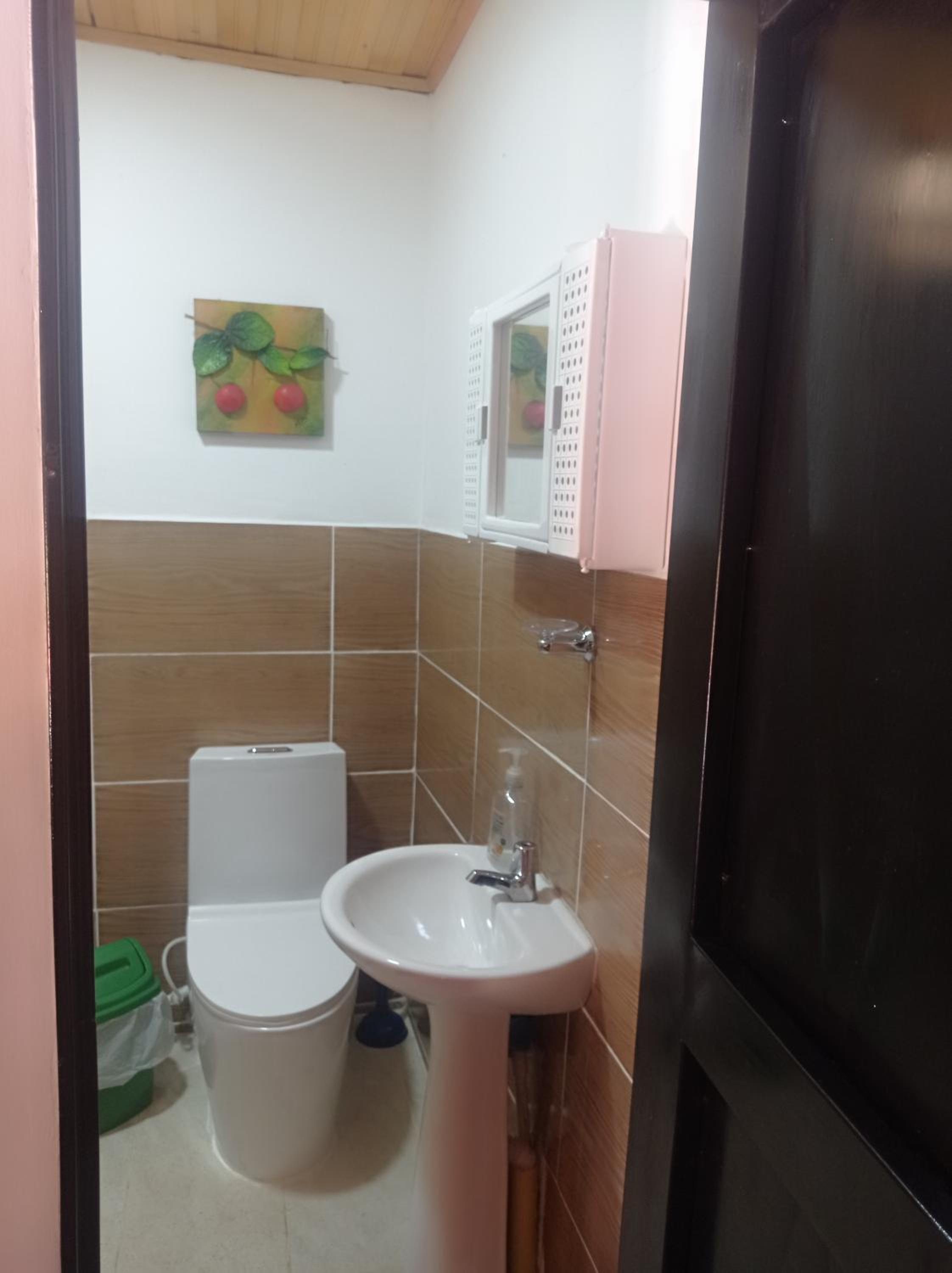 Cabaña buena vista
