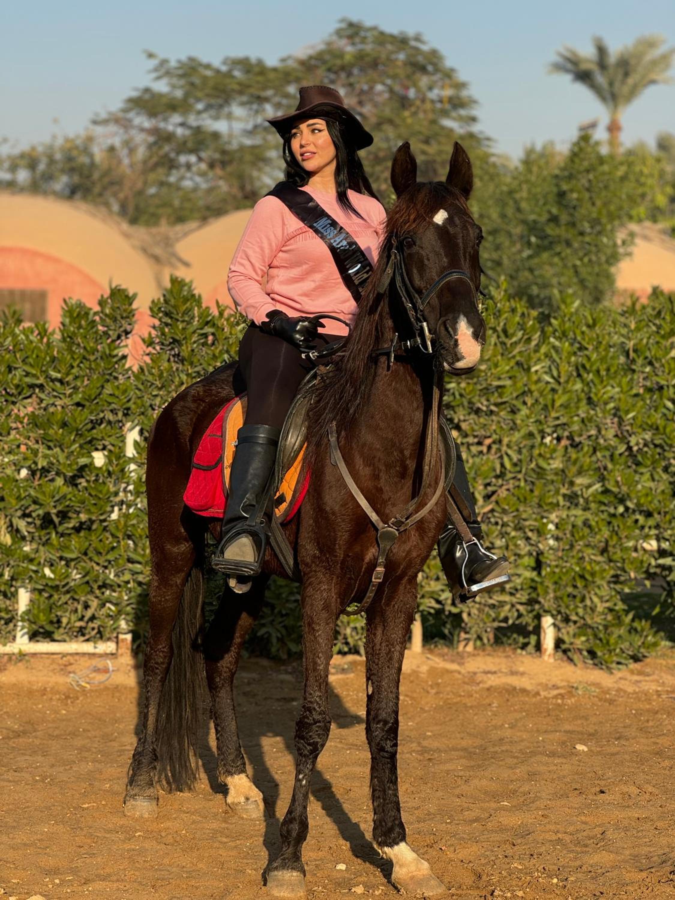 1-BR next Saqqara pyramids Horse-riding