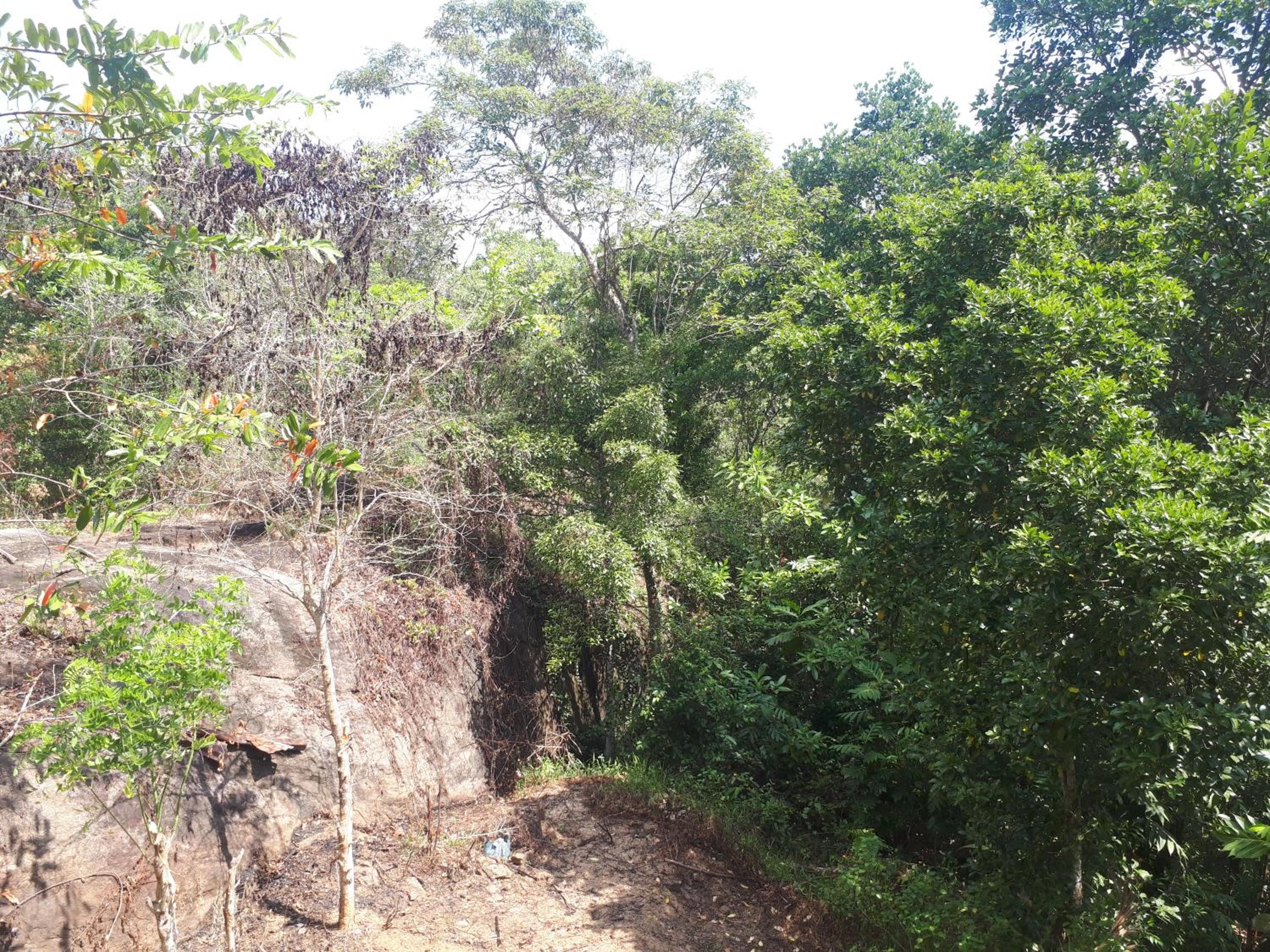 Mountain view home stay view 5