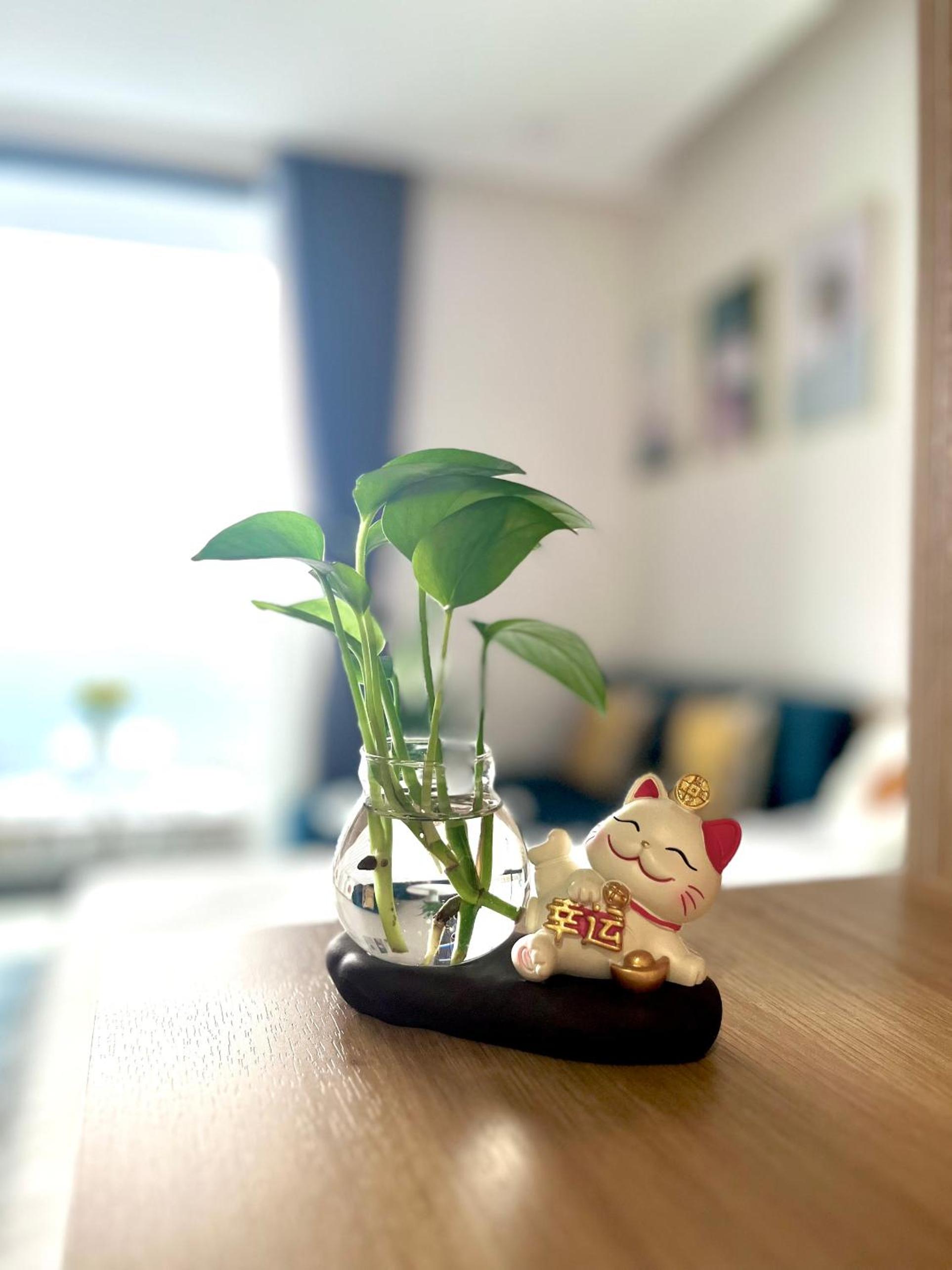 Sam's homestay- Solforest studio apartment view 2