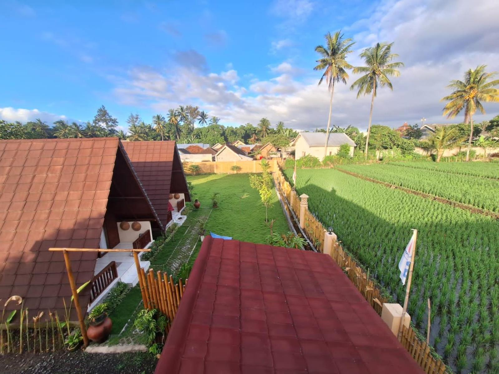 Carasti Bungalows
