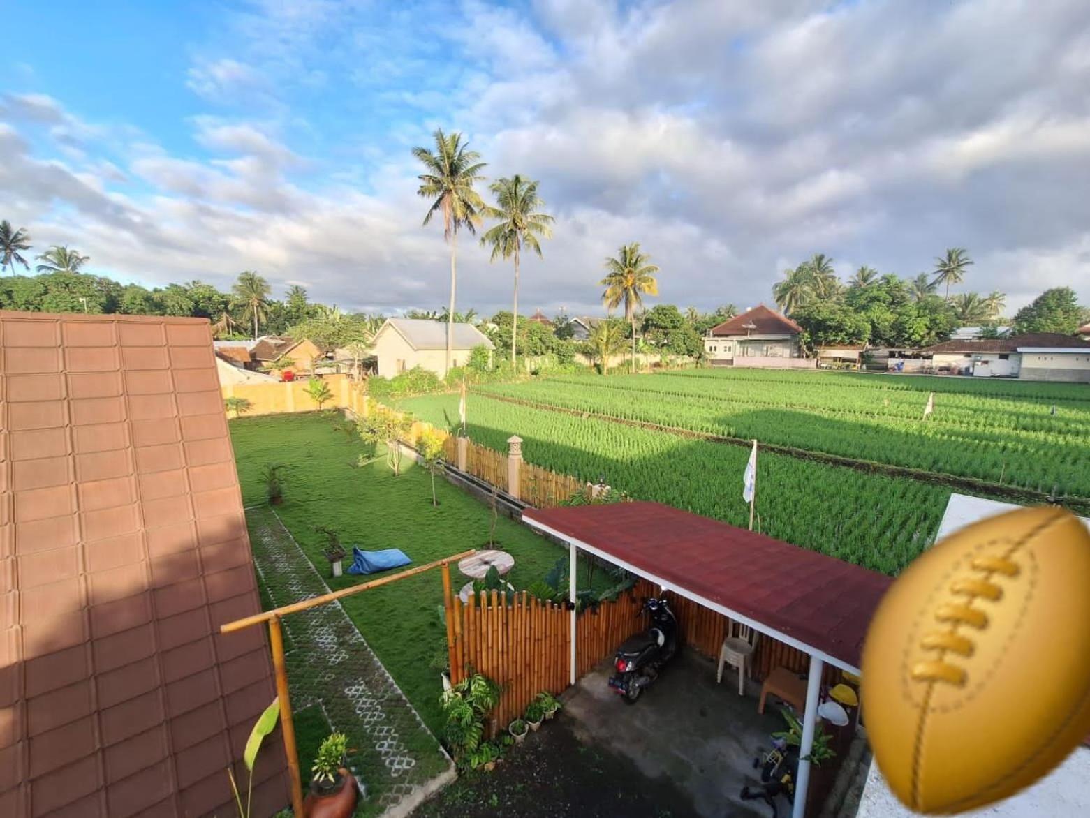 Carasti Bungalows