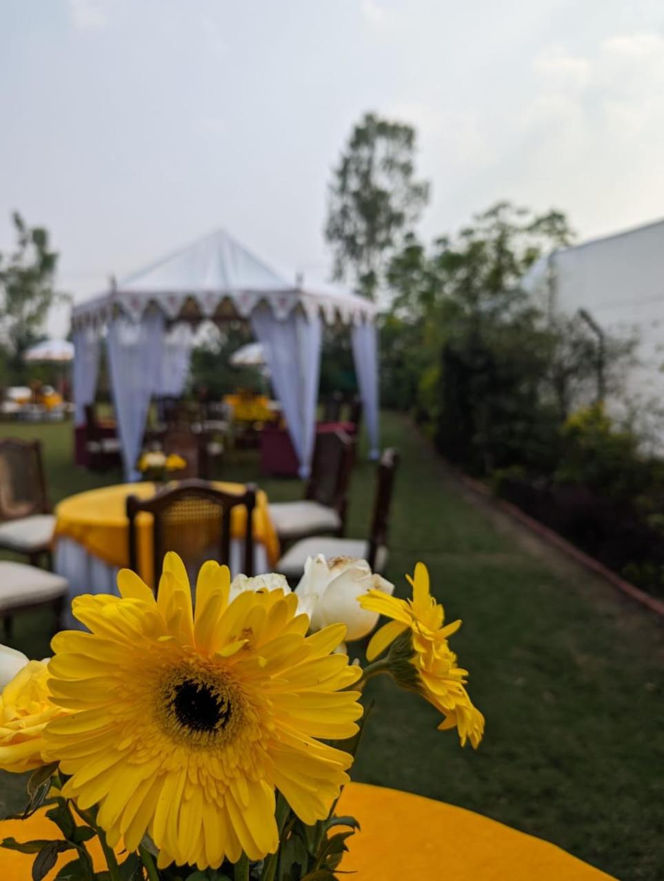 Baghealam Farm Stay view 4
