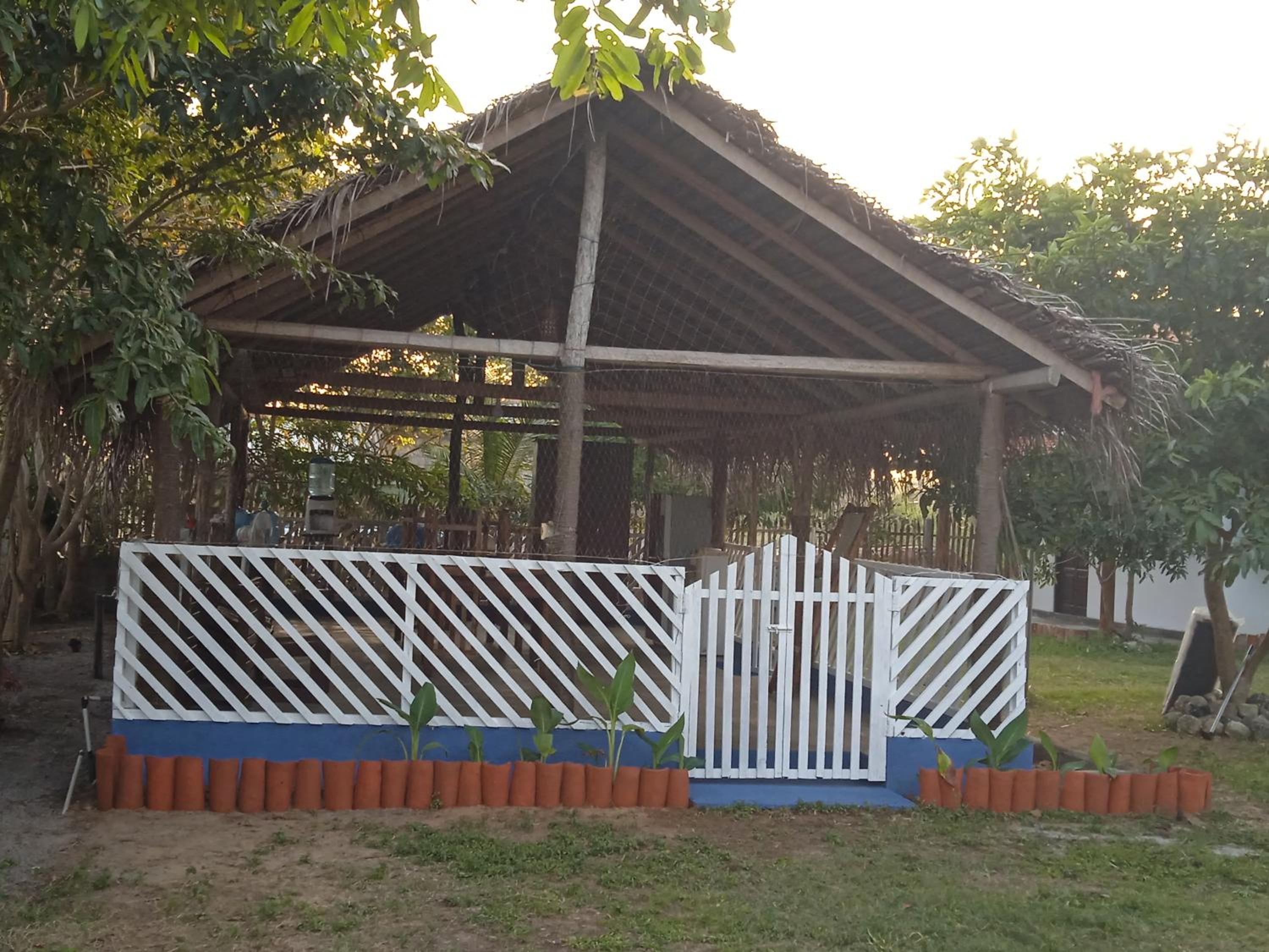 Photo 21