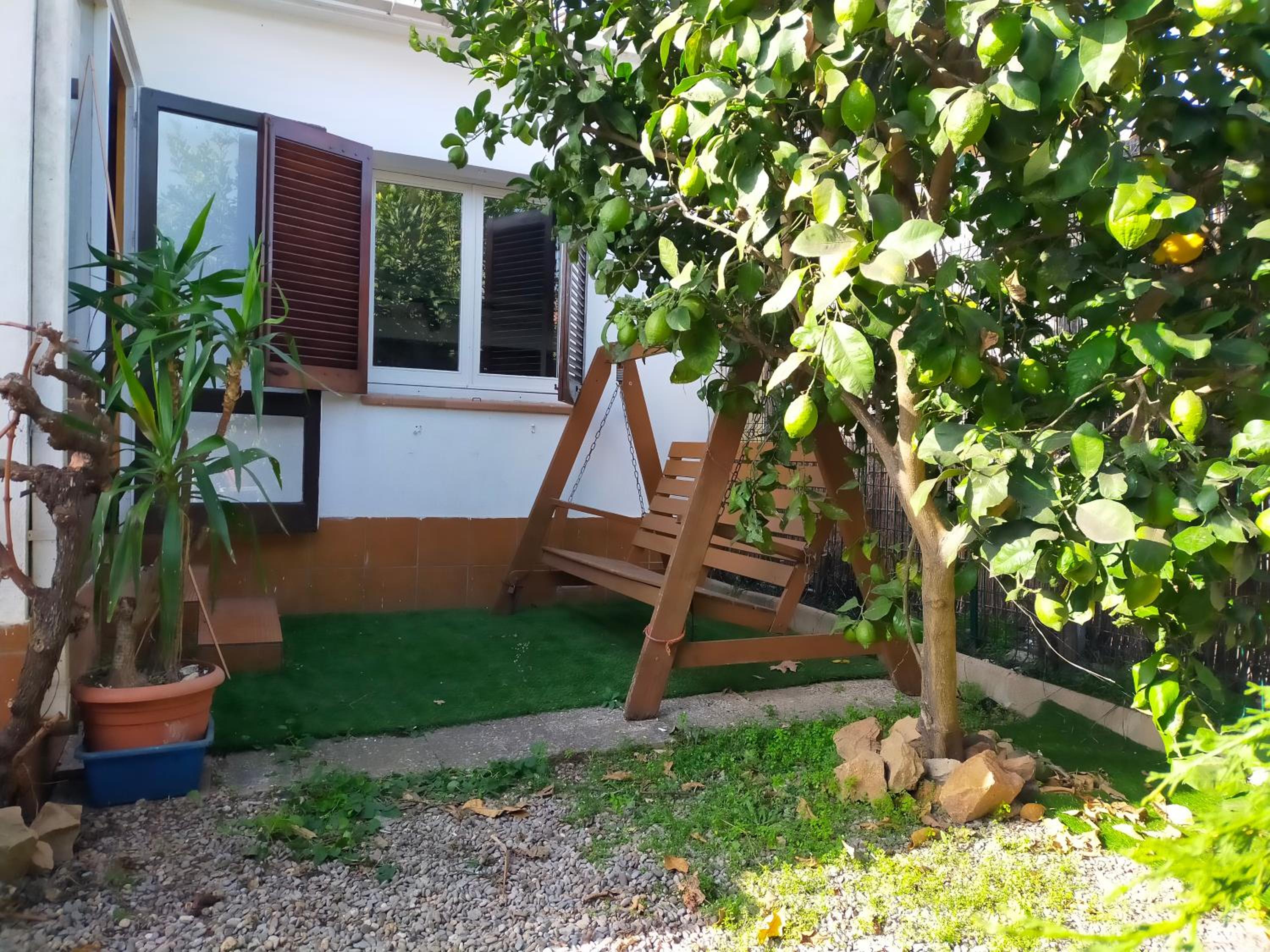 Photo 26