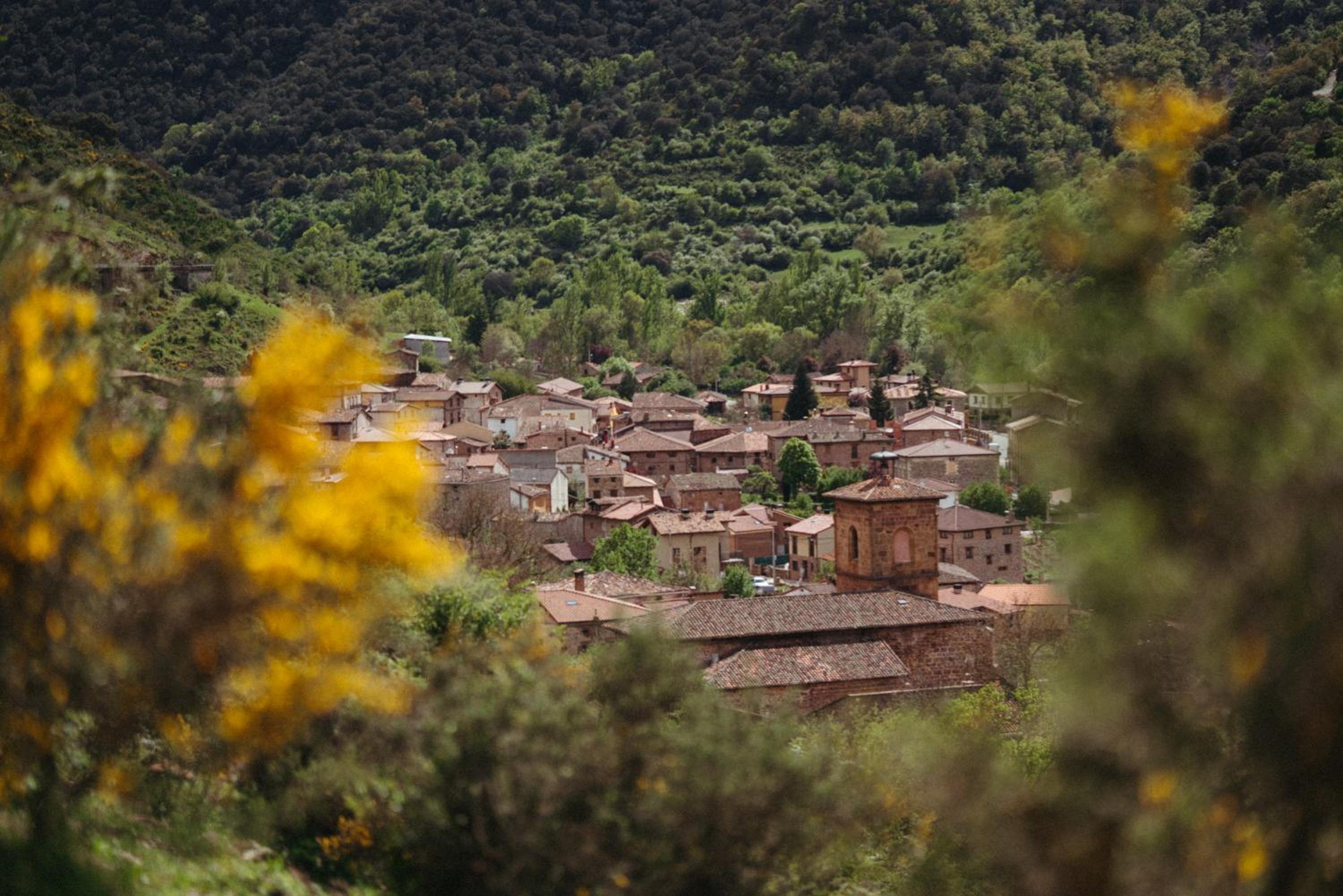 Casa Montero