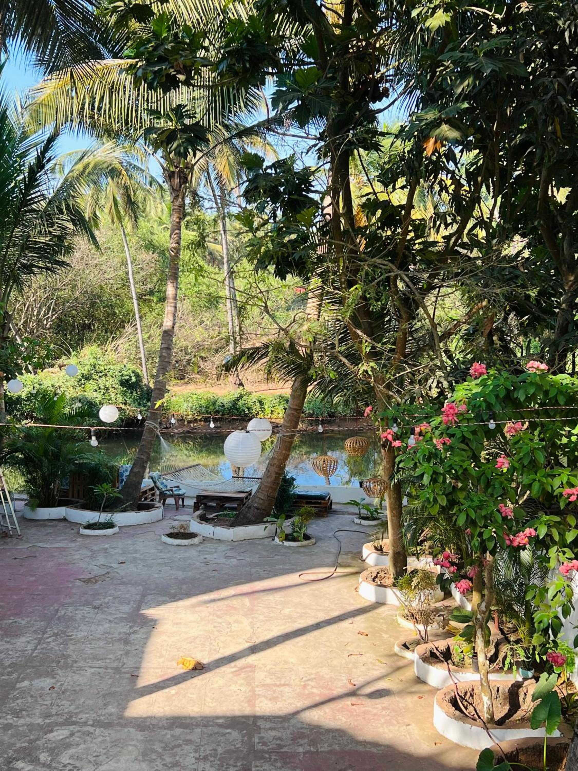 Bayou Homestay and backwaters