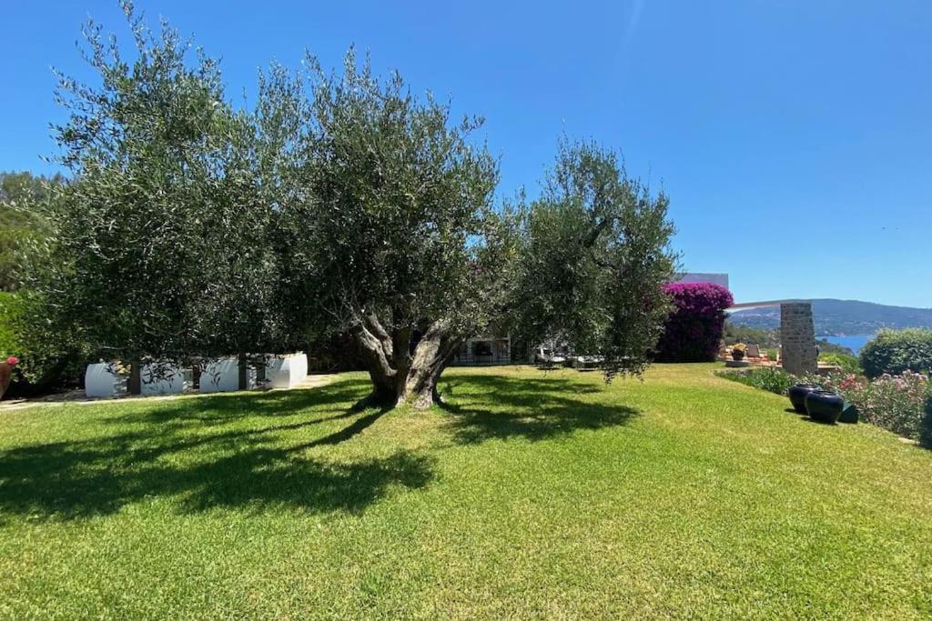 Villa Acquarilli