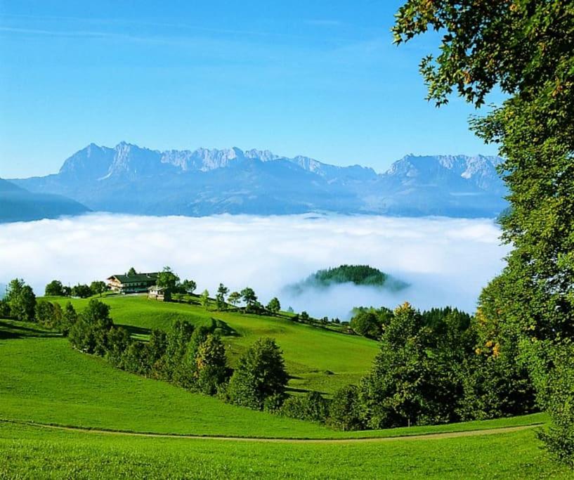 Ferienwohnung Bergblick