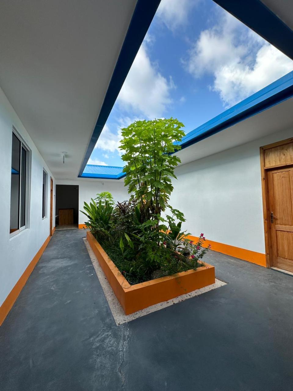 The Happiness Sun Suites photo 4