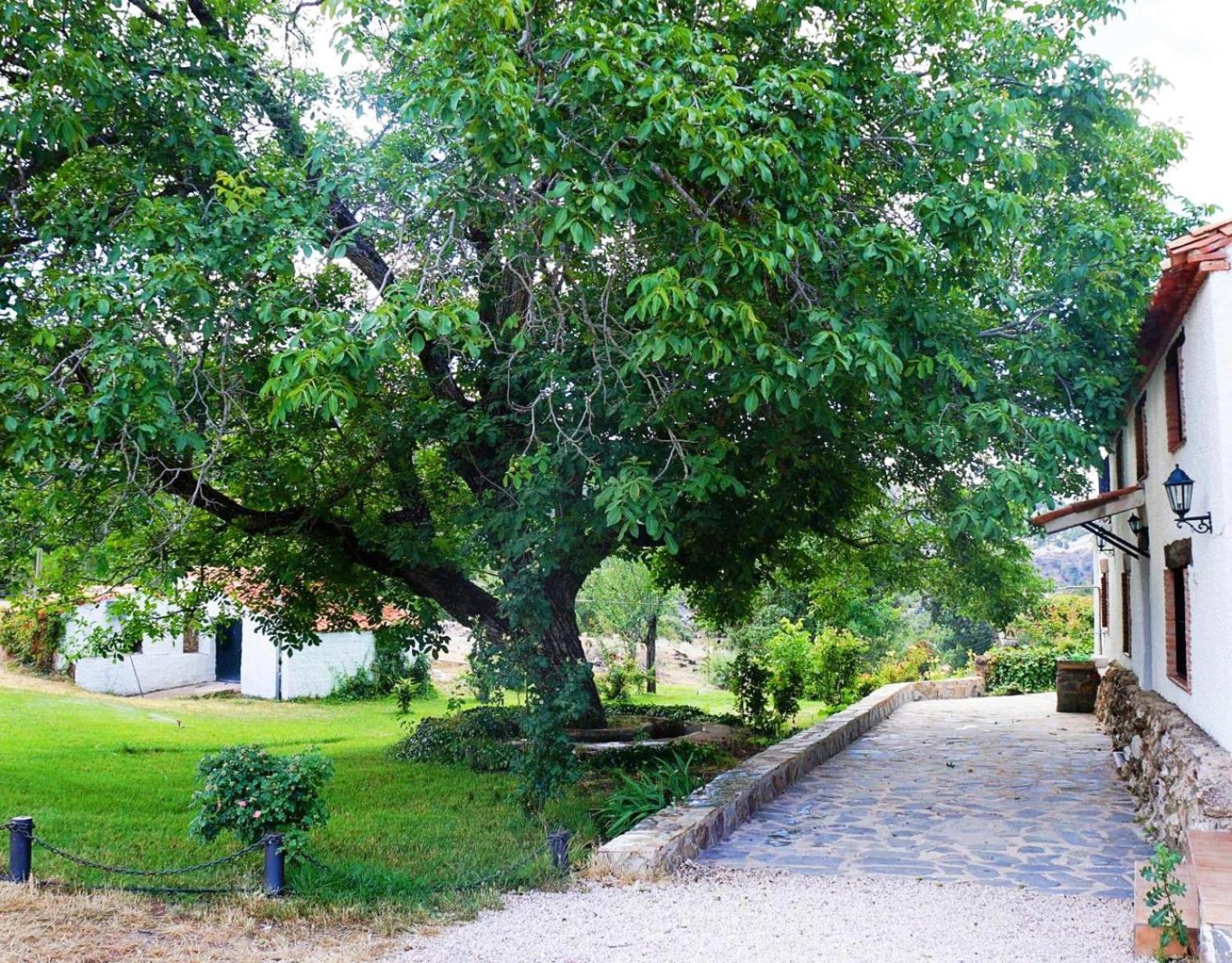 Majada La Carrasca