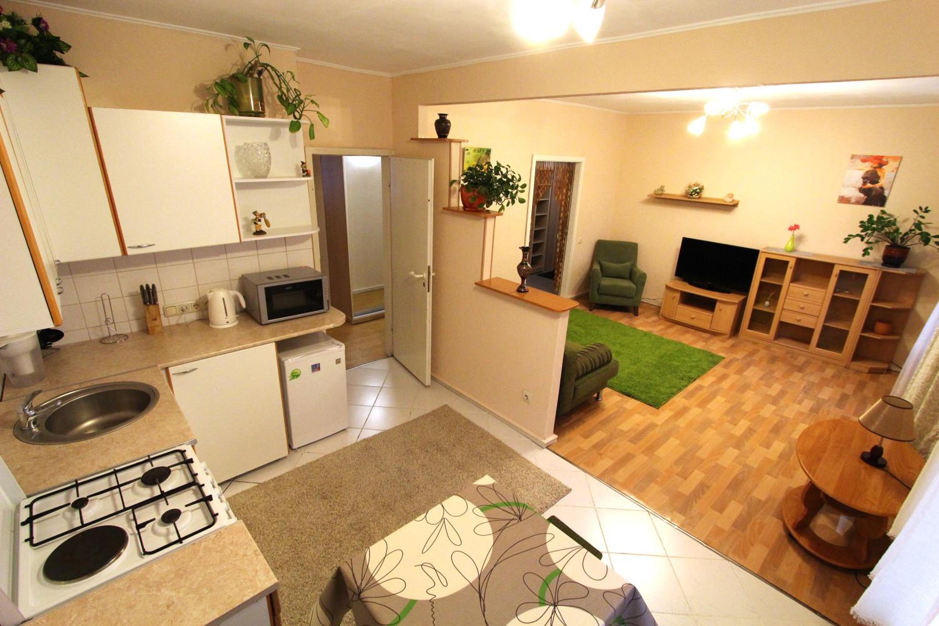 Nadezhda Apartments on Jambyl street 105, two spacious rooms view 2