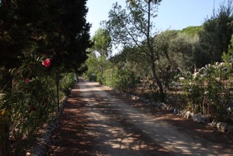 Tenuta Palmarini