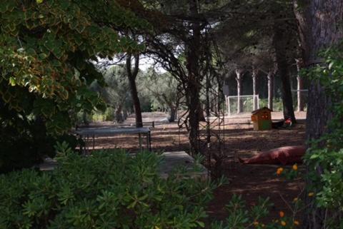 Tenuta Palmarini