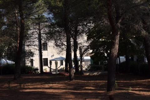 Tenuta Palmarini