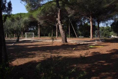 Tenuta Palmarini