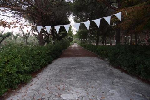 Tenuta Palmarini