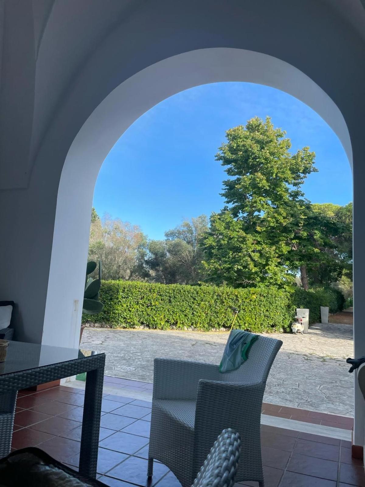 Tenuta Palmarini