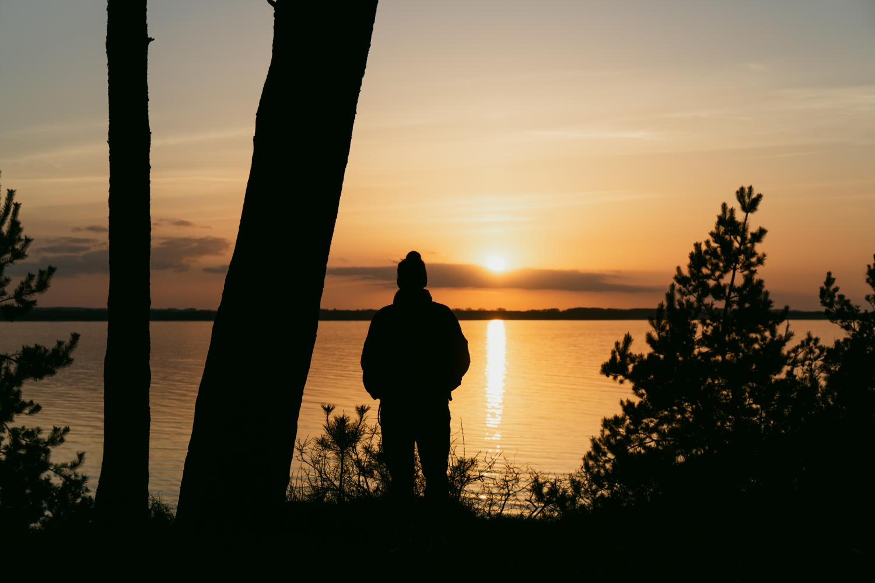 Tallskog - Dein Apartment am Naturstrand Hohen Wieschendorf